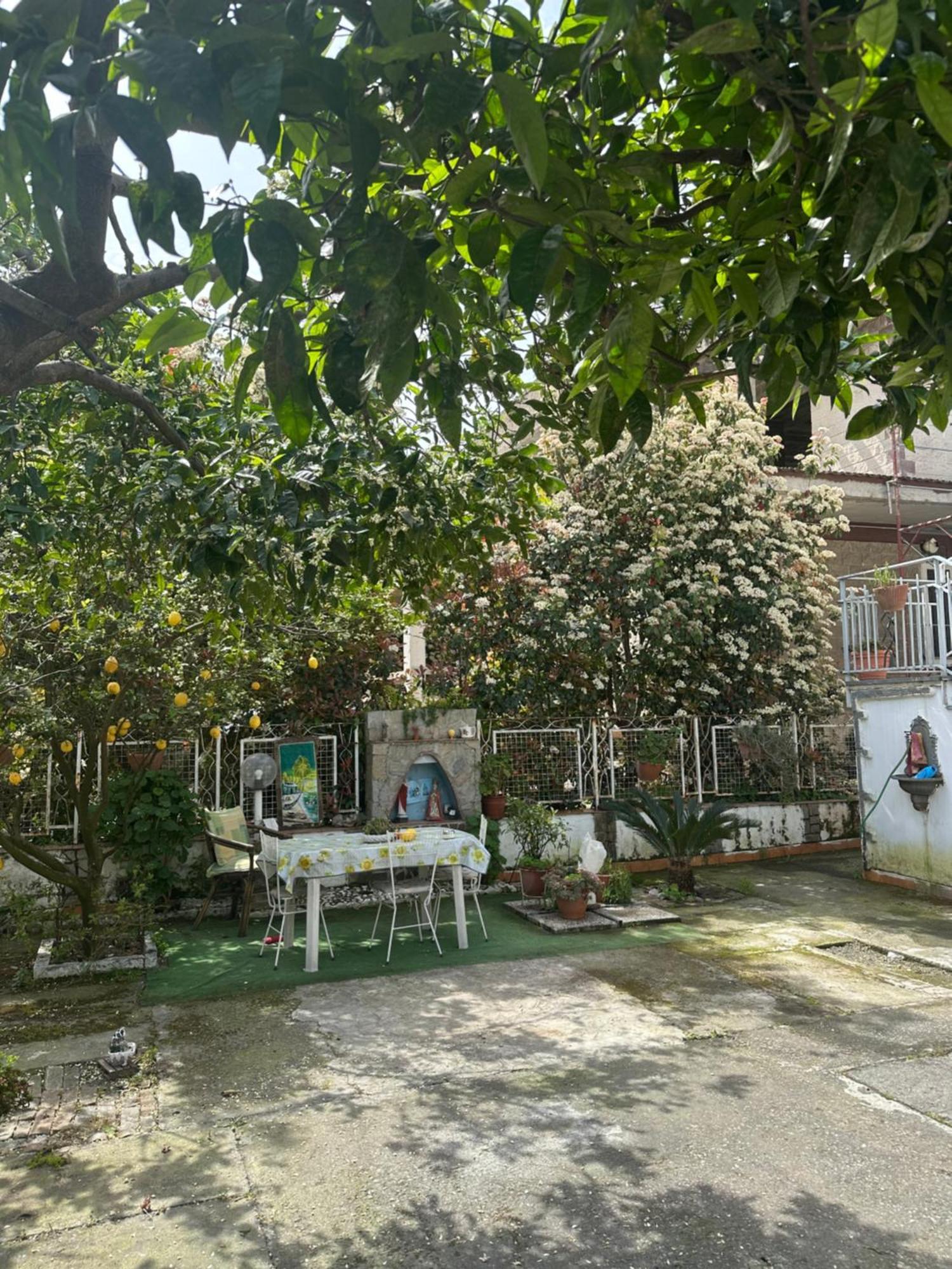 in famiglia casa vacanze Sant'Egidio del Monte Albino Esterno foto